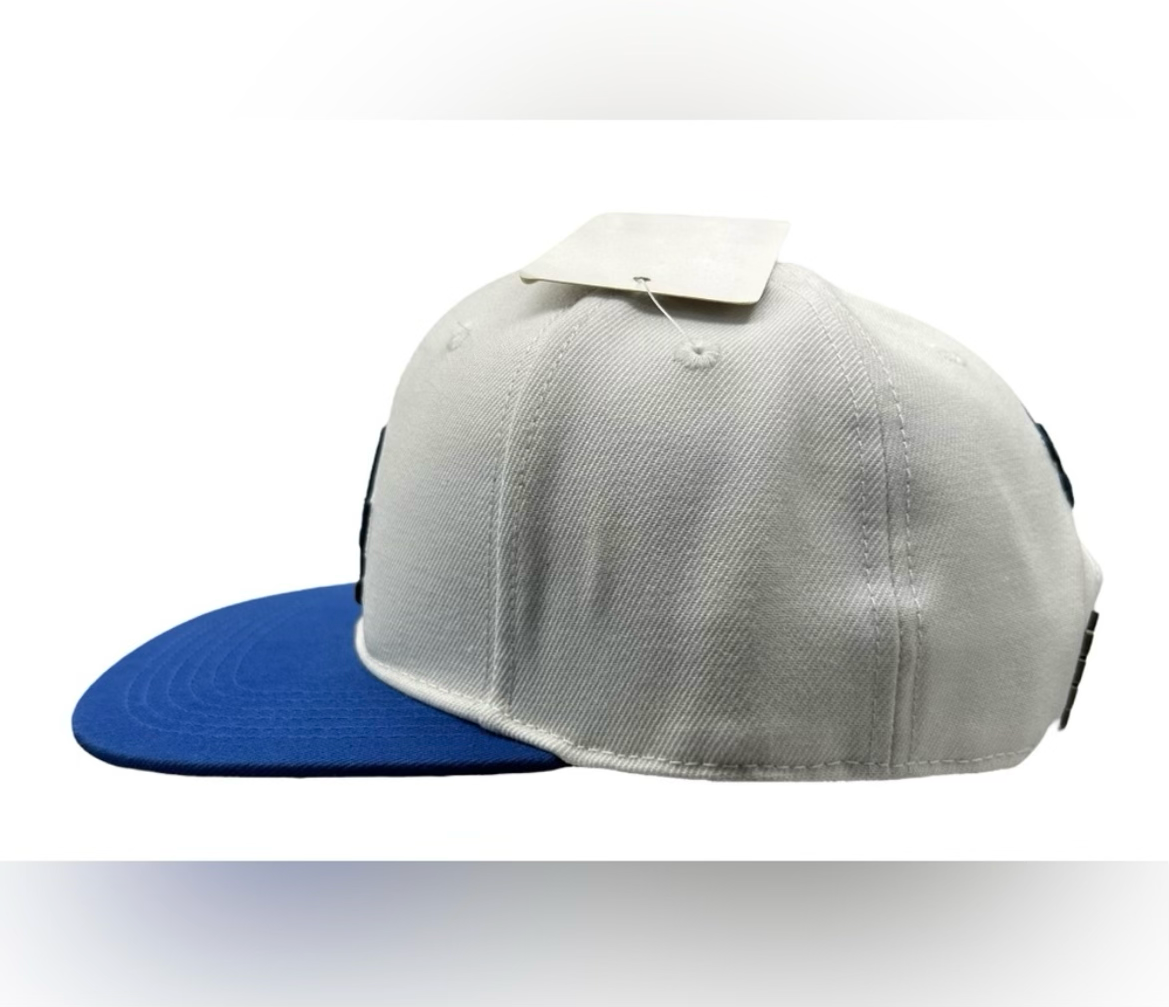 LA Dodgers Pro Standard 2 Tine SnapBack Hat 2020 Champs