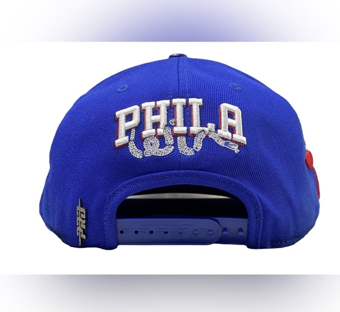 Philadelphia 76ers Pro Standard SnapBack Hat Fur Logo