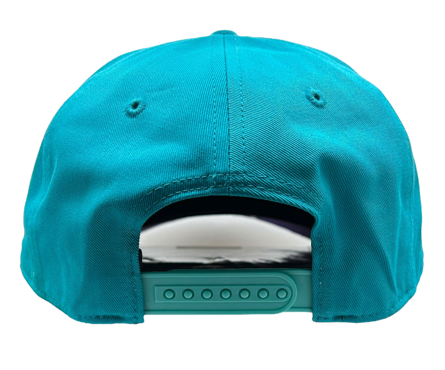 47 Brand Charlotte Hornets Hitch Snapback Hat