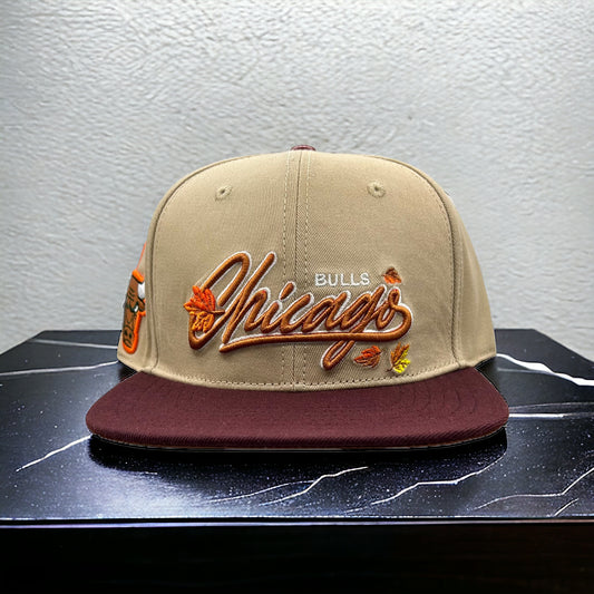 NEW Chicago Bulls PRO STANDARD SnapBack Hat Fall Brown 2 Tone Cap Script Logo