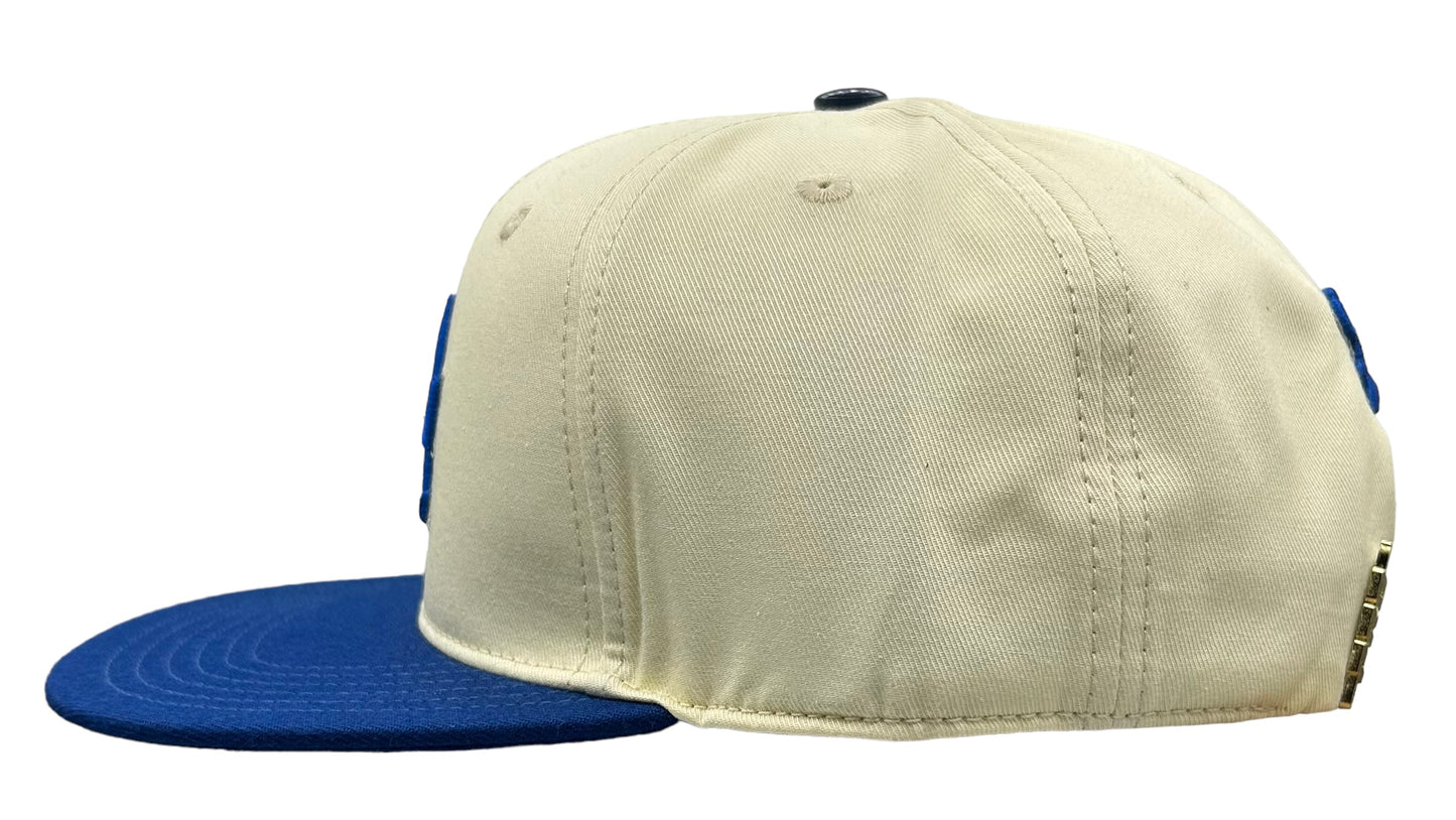 NEW Los Angeles Dodgers PRO STANDARD 2 Tone SnapBack Hat Flat Brim Cap