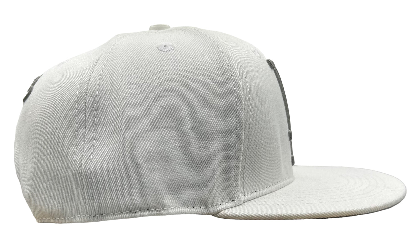 NEW Los Angeles Dodgers PRO STANDARD White SnapBack Hat Men’s Flat Brim Cap