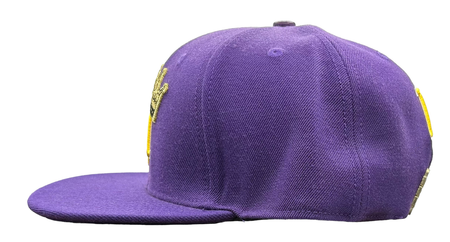 NEW Los Angeles Lakers PRO STANDARD SnapBack Hat Purple Mens Flat Brim Cap